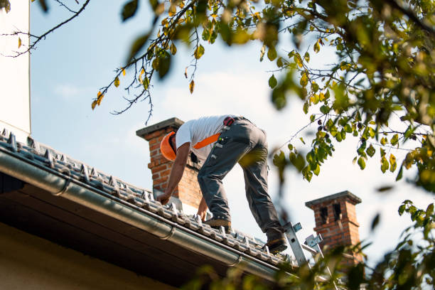 Best Roof Gutter Cleaning  in Decordova, TX